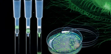 Green_Fluorescent_Protein_Chromatography_Kit