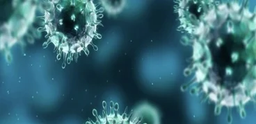 phytoplankton semilab