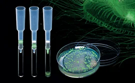Green_Fluorescent_Protein_Chromatography_Kit