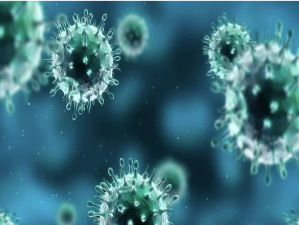 phytoplankton semilab